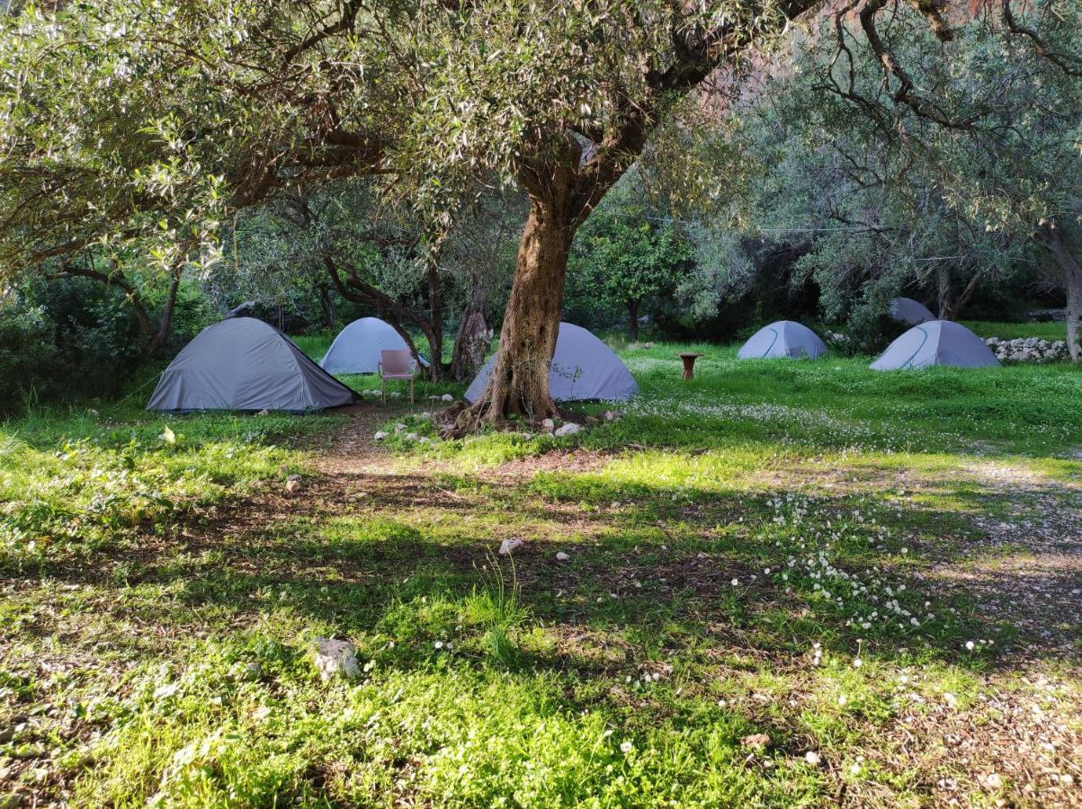 Gjipe Eco Campground Vuno Eksteriør bilde