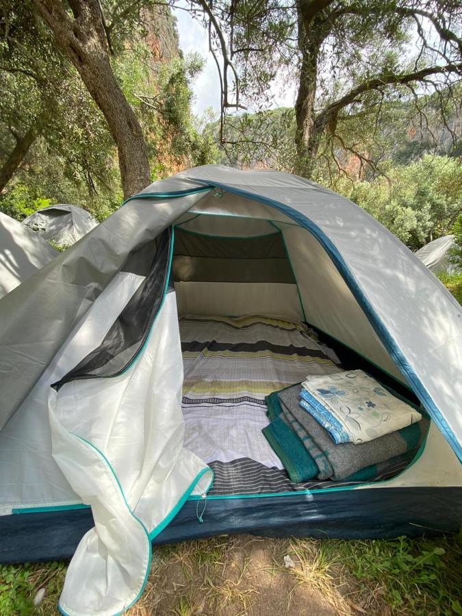 Gjipe Eco Campground Vuno Eksteriør bilde
